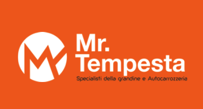 Mr. Tempesta